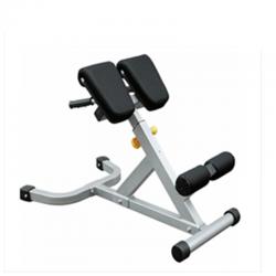 What is 45 degree hyper extension Strength Equipment low price India